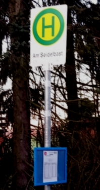 Am Seidelbast